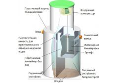 Биозон 50