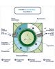 Гринлос Аква 8 Пр Миди - фото 5
